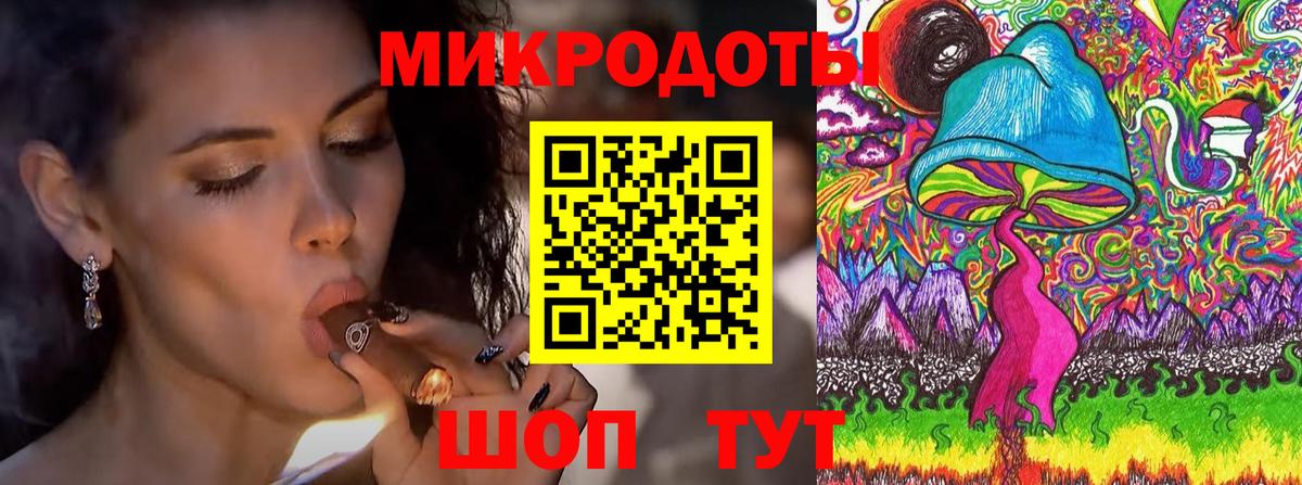 Псилоцибиновые грибы Psilocybine cubensis Аргун