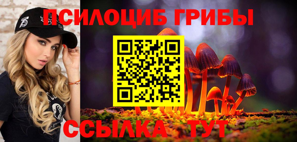 Псилоцибиновые грибы прущие грибы  Вход с VPN  Аргун  Галлюциногенные грибы Cubensis 
